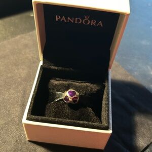 Silver with purple hearts 💜